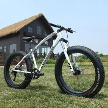 沙滩雪地山地自行车 变速 减震双碟刹自行车20寸26寸