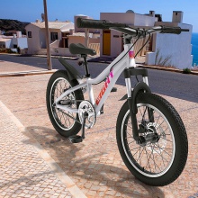 碟刹变单速20寸男女小中学生脚踏车儿童表演山地自行车