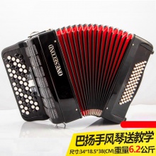 厂家直供巴扬手风琴儿童成人120贝斯96贝斯60贝斯