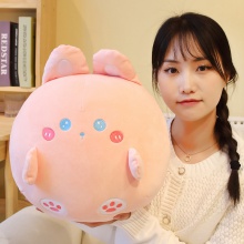 新款萌物有鸡玩偶公仔小鸡和小猪小兔兔抱枕毛绒玩具送女生礼物