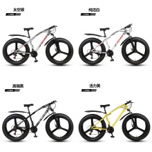 26寸双碟刹宽胎越野变速车自行车成人山地车雪地车沙滩车厂家供应