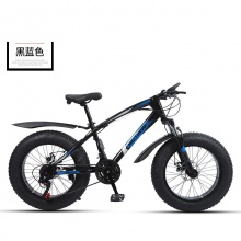 厂家供应20寸双碟刹4.0宽轮胎雪地沙滩车户外男女骑行越野自行车