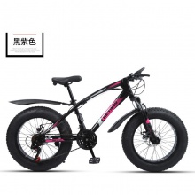 厂家供应20寸双碟刹4.0宽轮胎雪地沙滩车户外男女骑行越野自行车
