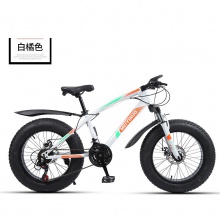 厂家供应20寸双碟刹4.0宽轮胎雪地沙滩车户外男女骑行越野自行车