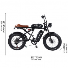 同款雪地车山地RX静音无刷电动自行车宽胎变速电瓶车