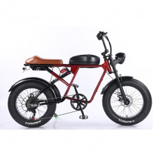 同款雪地车山地RX静音无刷电动自行车宽胎变速电瓶车