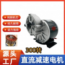 自行车改装电动车电机12V24V250W三轮车电机减速马达