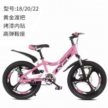 儿童自行车烤漆内贴双碟刹18寸20寸22寸一体轮山地车男女孩单车