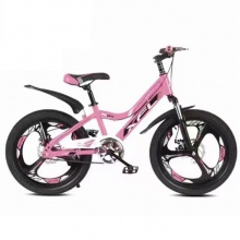 儿童自行车烤漆内贴双碟刹18寸20寸22寸一体轮山地车男女孩单车