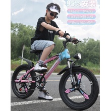 儿童自行车山地车学生车6-7-9-11-14岁男女孩单车脚踏车碟刹变速