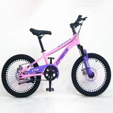 新款儿童自行车6-15岁男女孩减震前叉前后碟山地车山地自行车