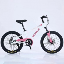 儿童自行车轮圈20 12岁儿童自行车河北男孩儿童自行车