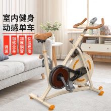 磁控动感单车家用自行脚踏车静音瘦身健身车运动健身器材