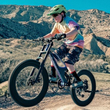 软尾山地自行车变速学生青少年22寸碟刹镁合金自行车轻便