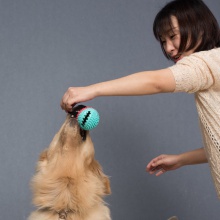 宠物用品 狗狗漏食球铃铛发声洁齿球 磨牙耐咬训犬玩具解闷西瓜球